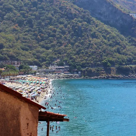 Luxury Scilla